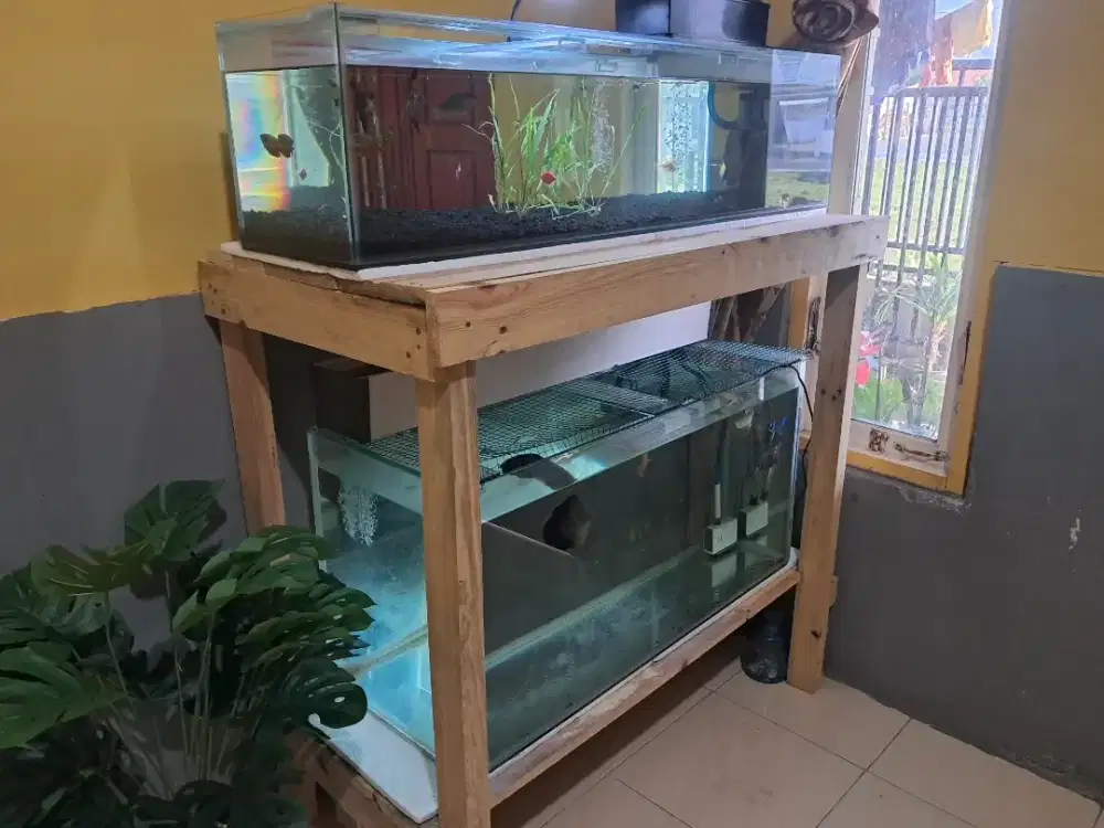 2 Aquarium Lengkap Dengan meja dan 1 aquarium