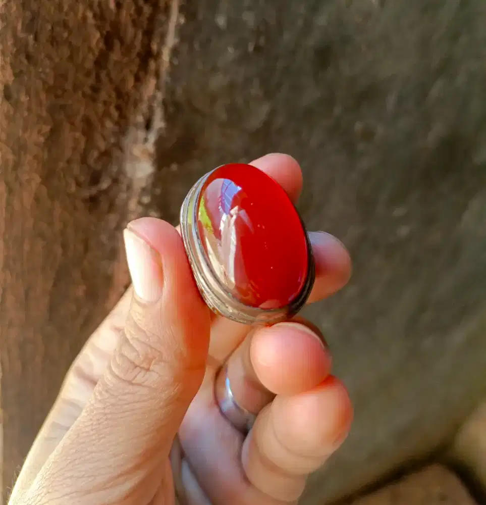 Batu akik red raflesia bengkulu dimensi jumbo