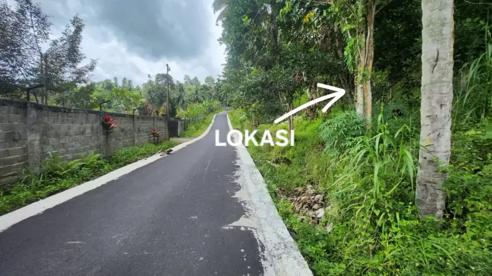 Tanah Murah di pinggir jalan dekat wisata Bukit Berbunga Warembungan