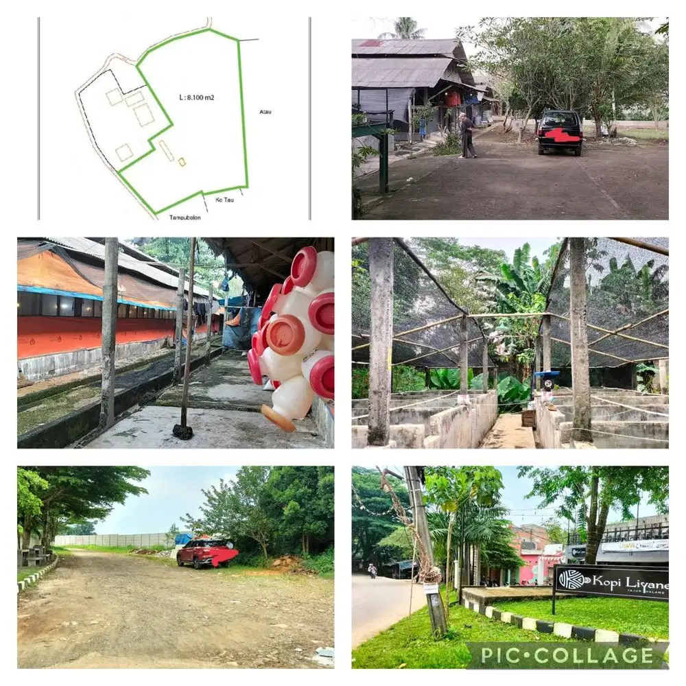 Dijual cepat tanah peternakan ayam & ikan, nego dengan pemilik