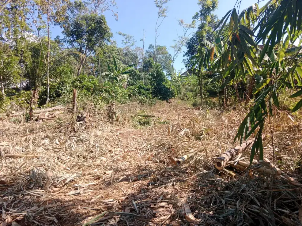 Tanah tengah kampung