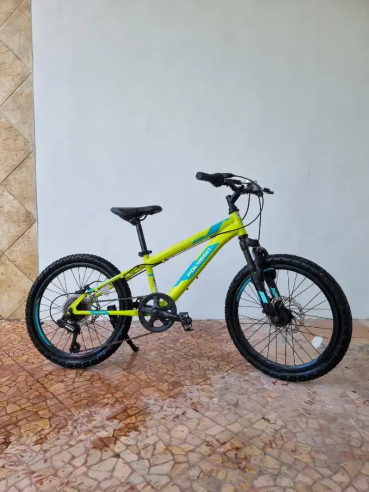 Sepeda Polygon Monarch 20
