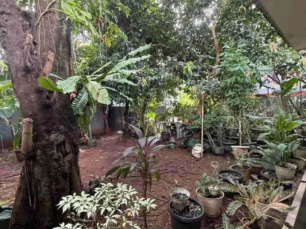 TERMURAH TANAH SIAP BANGUN DI CIRENDEU