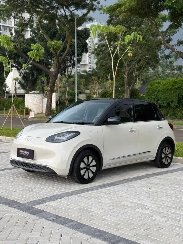 Wuling Binguo Signature Long Range Nik 2024 cokelat muda air ev