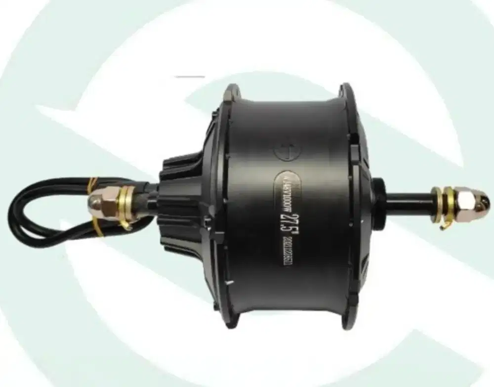Brushless Gear Hub Motor