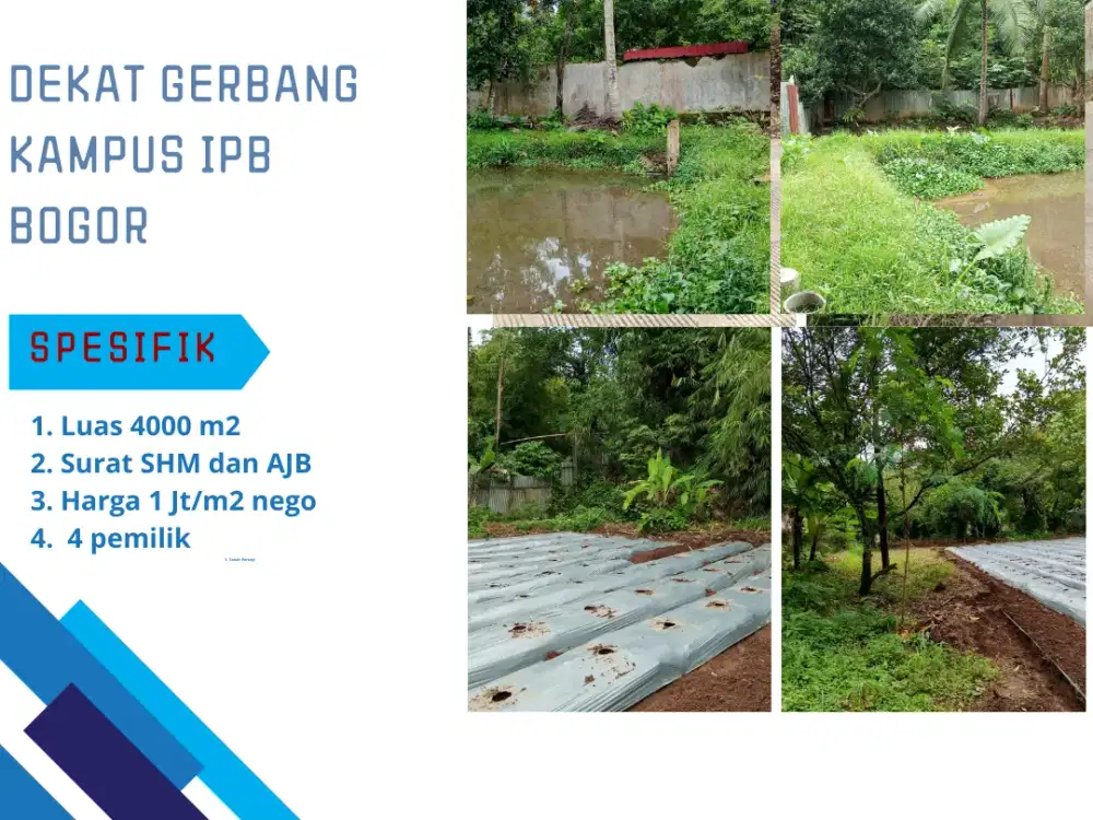 Tanah Bogor Dekat Gerbang Kampus IPB Cocok Kos-kosan Harga 1 Jt-an/m2