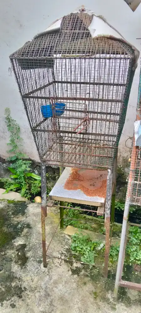 Kurungan burung kucing