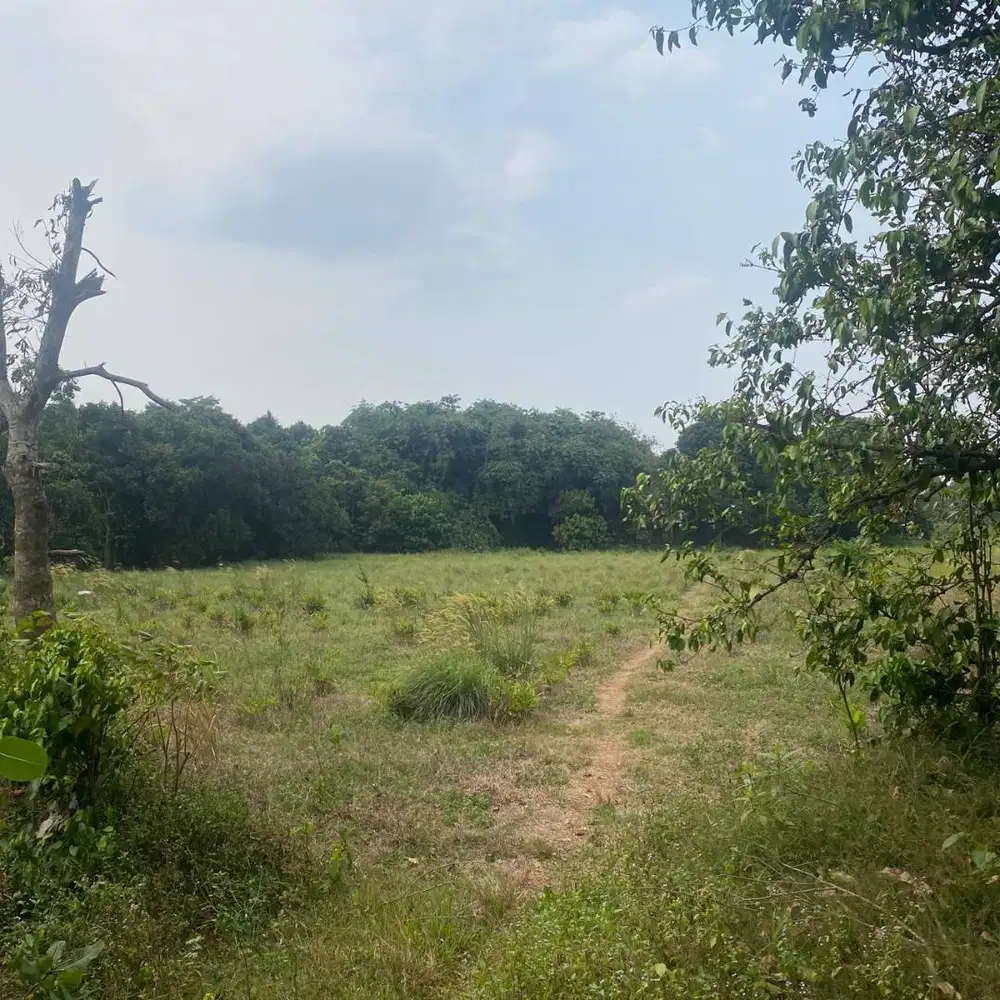 Tanah Strategis Ragemanunggal Setu - Dekat Harvest City & Rencana Tol