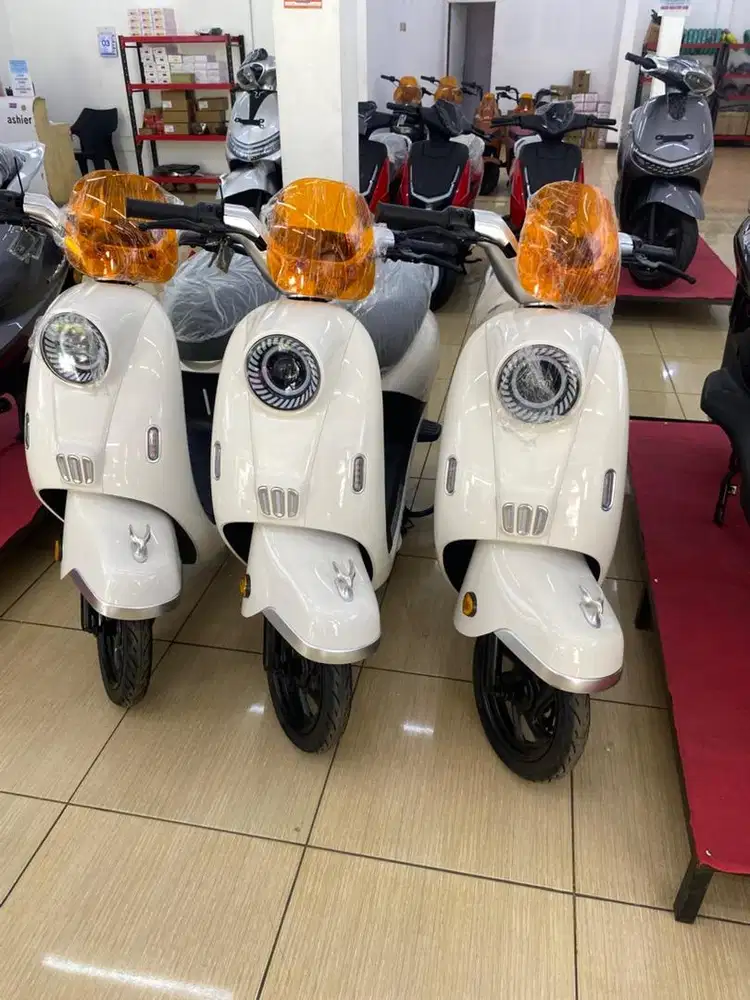 Jual sepeda listrik batrai litihum