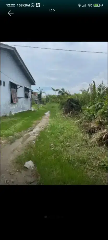 Tanah Kosong 2 Bidang