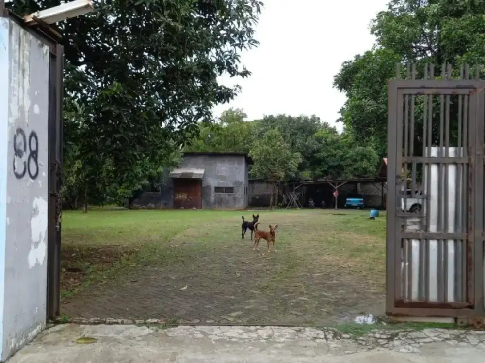 Tanah Batu Ceper - Tanggerang Banten