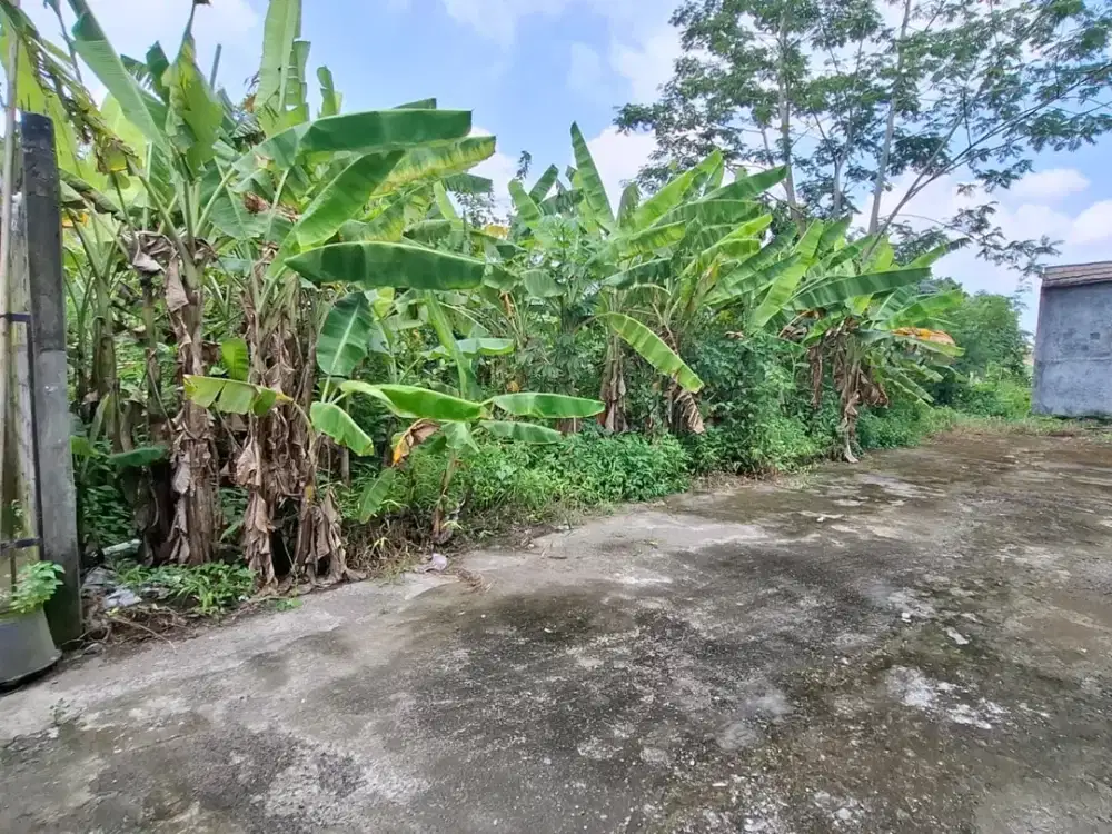 Tanah Luas 240 Meter Persegi Lokasi Strategis di Area Jalan Palagan - Ngaglik Sleman