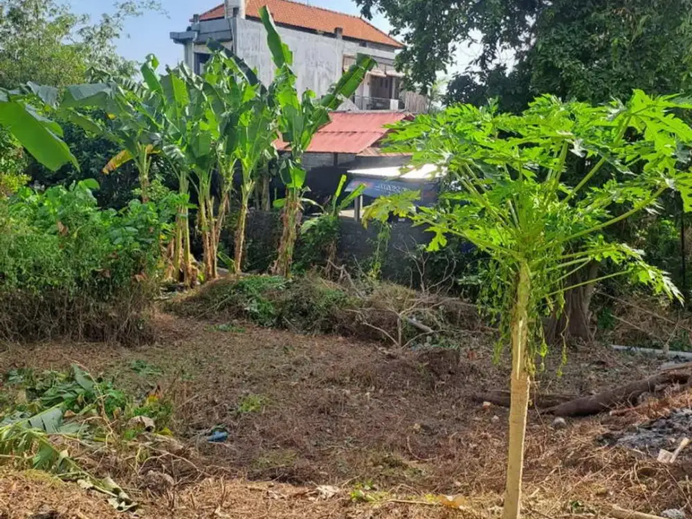 RARE OPPORTUNITY IN SEMINYAK