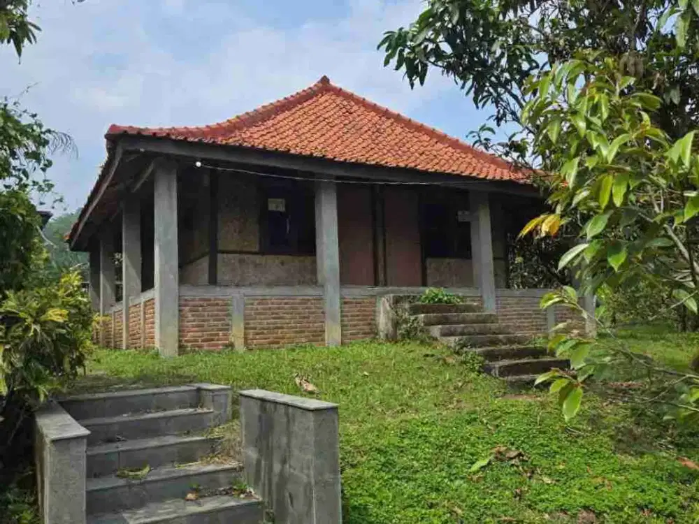 Dijual Villa dan Kebun Buah-buahan di Pondoksalam Purwakarta