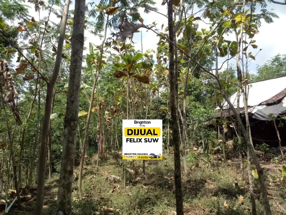 Jual Tanah  Dayurejo Prigen Pandaan