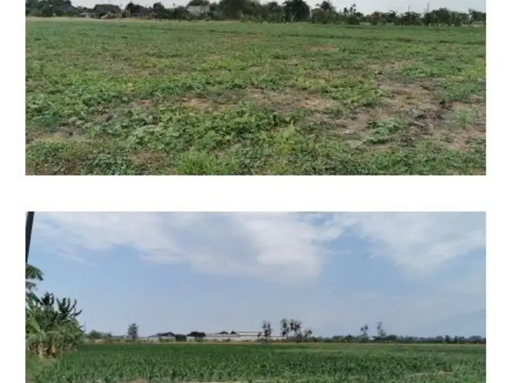 Tanah Area Mojokerto Luas 17000an Strategis