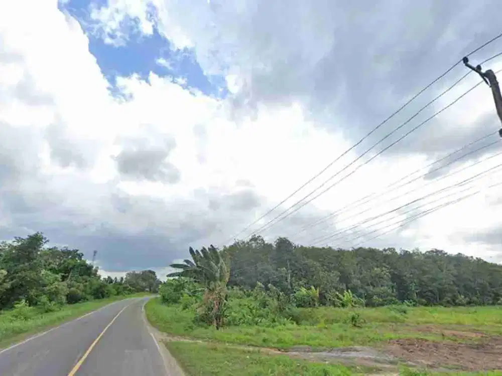 Tanah strategis cocok perumahan perkebunan di Ogan Ilir Palembang