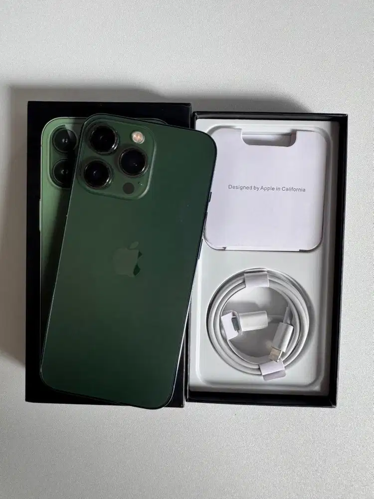 IPHONE 13 PRO 256GB - BEACUKAI RESMI