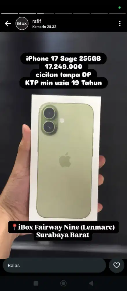 iphone 17 basic sage