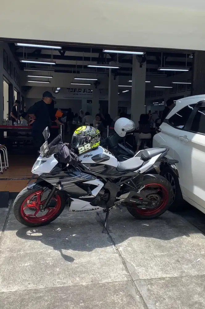 NINJA 250 RR MONO / SL