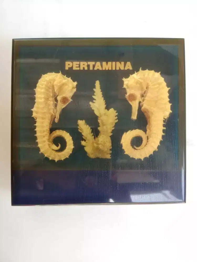 Pajangan Kuda laut Asli PERTAMINA