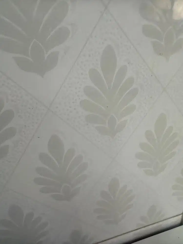 Dicari cewek packing online