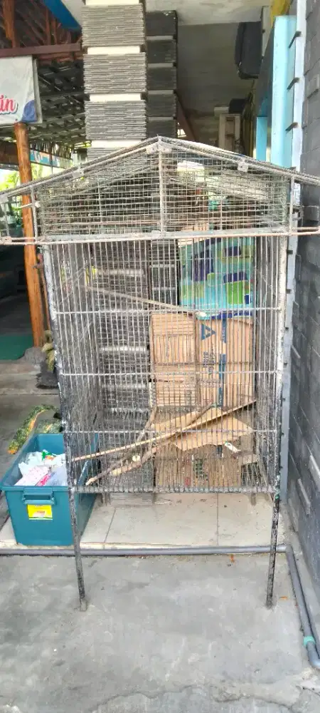 Kurungan Burung Kucing