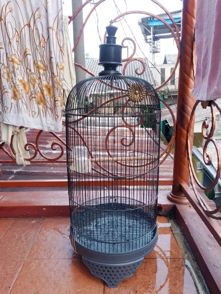 KANDANG BURUNG LOVEBIRD