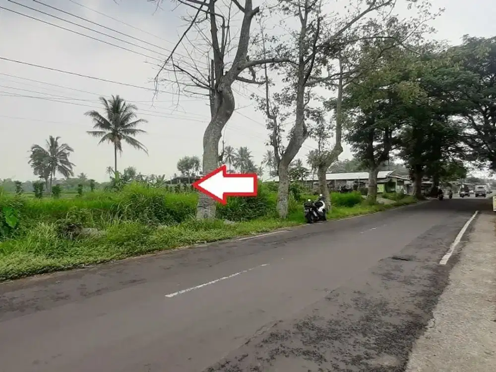 Tanah Poros Jl. Raya Banjarejo pakis Jual Murah cpt SHM L 844 m2