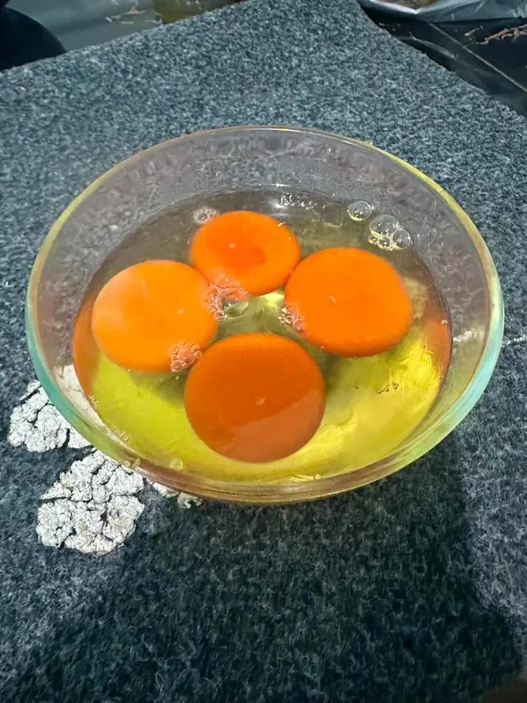 Telur omega kwalitas baik