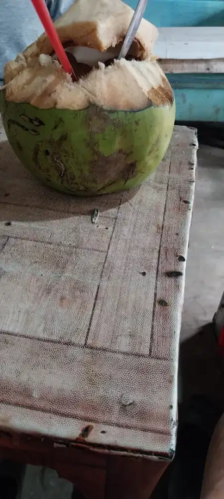 Butuh tenaga bantu dagang hari minngu