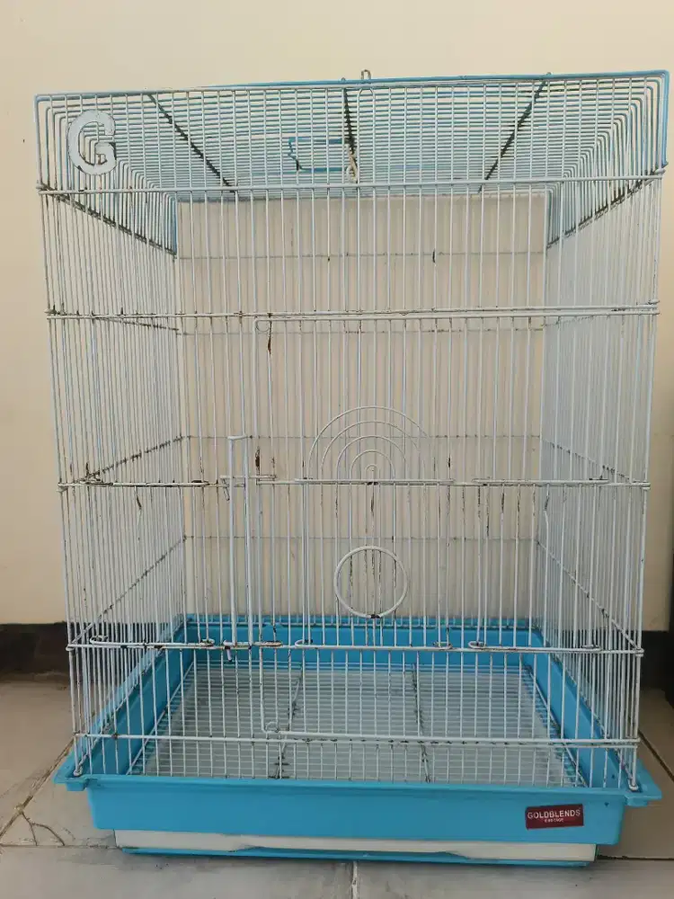 Kandang jumbo sugar glider