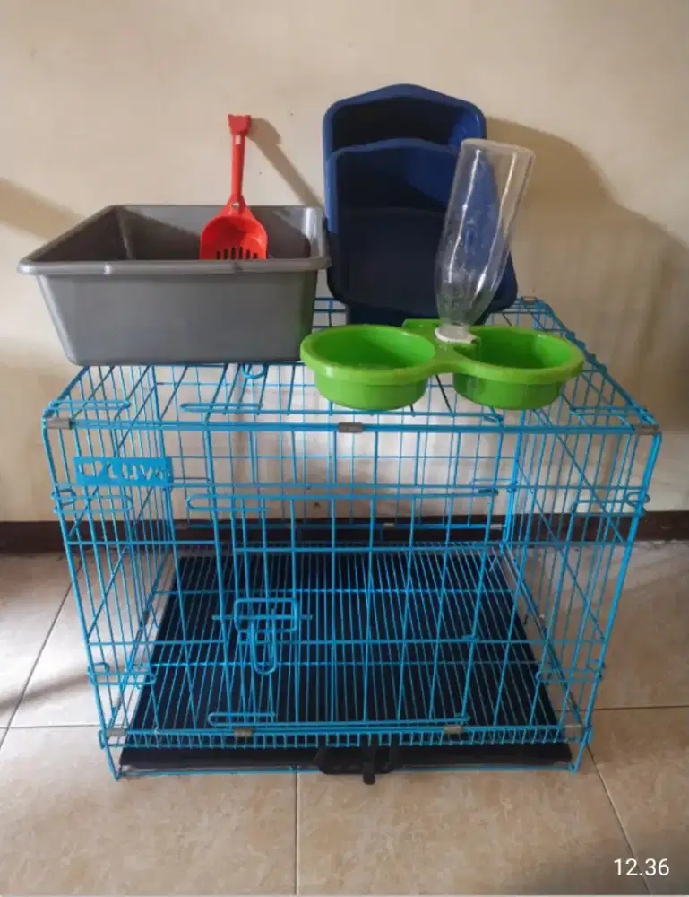Jual kandang kucing bonus perlengkapannya