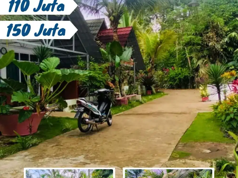 Dijual Tanah Pekarangan Di Plumbon Tawangmangu