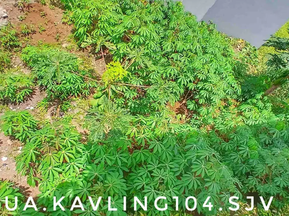 Dijual tanah kavling matang siap bangun rumah di perumahan nempel kota