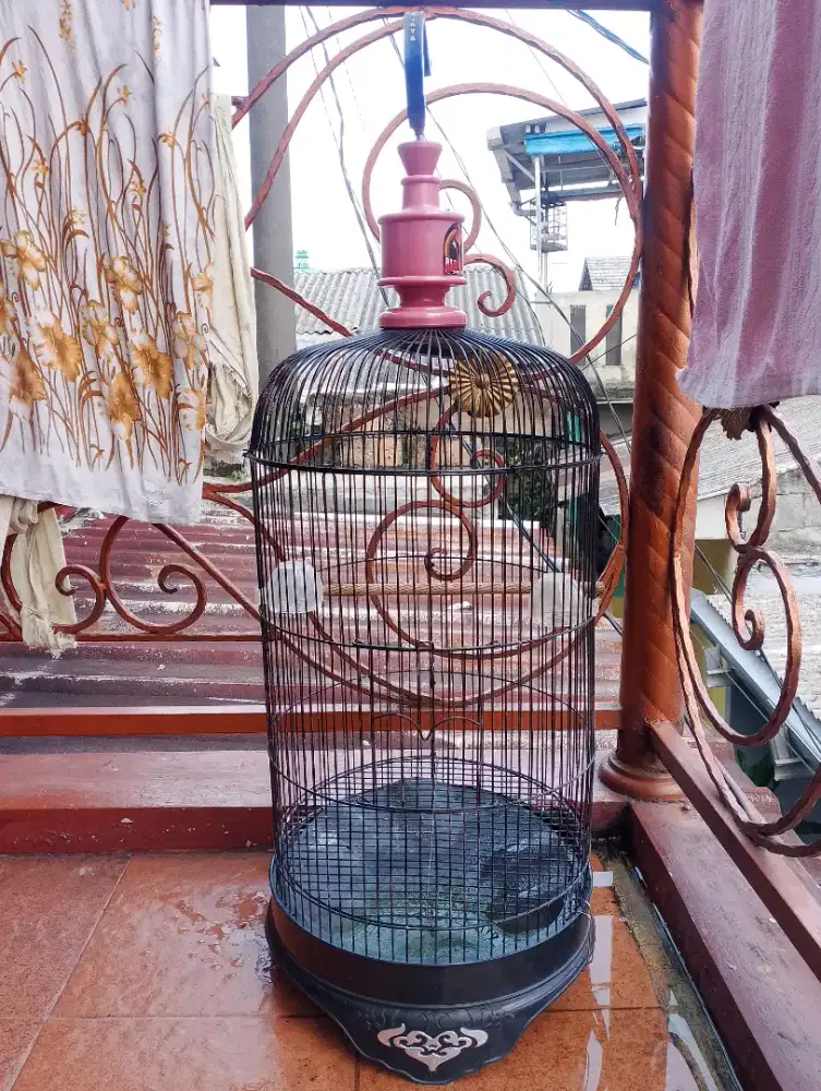 KANDANG BURUNG LOVEBIRD