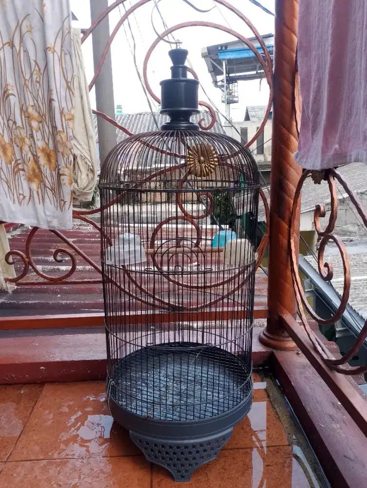 KANDANG BURUNG LOVEBIRD