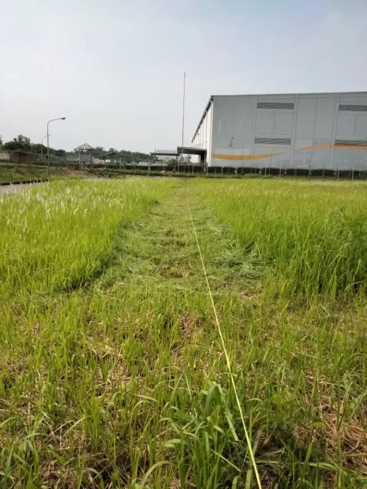 Turap bongkar bangunan beton cut and fill