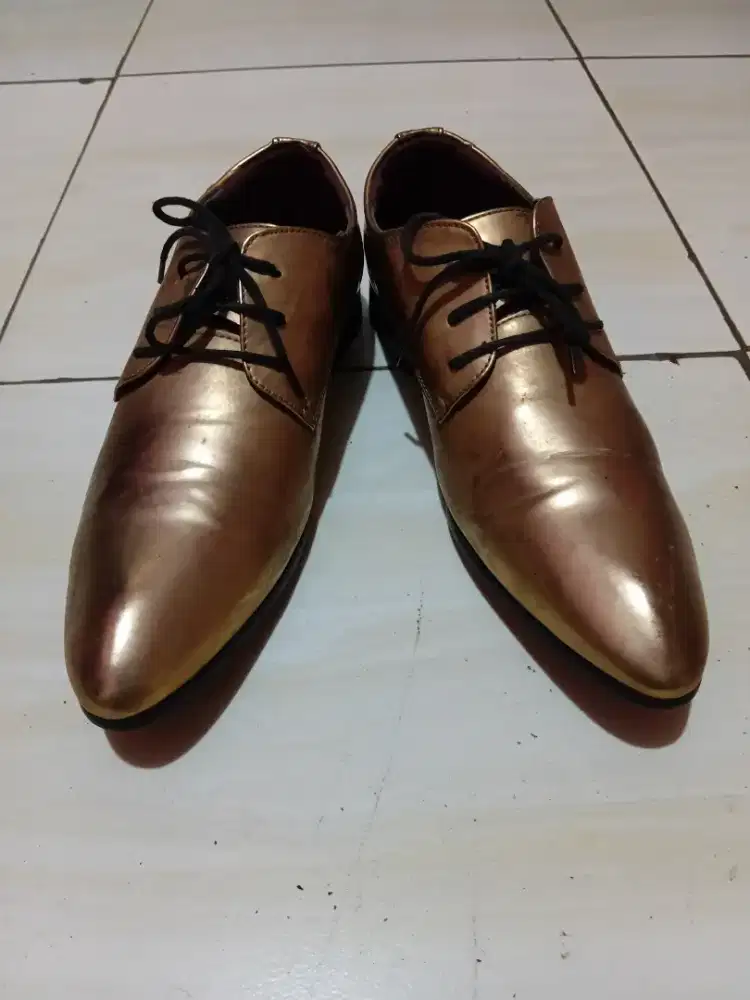Sepatu Pantopel