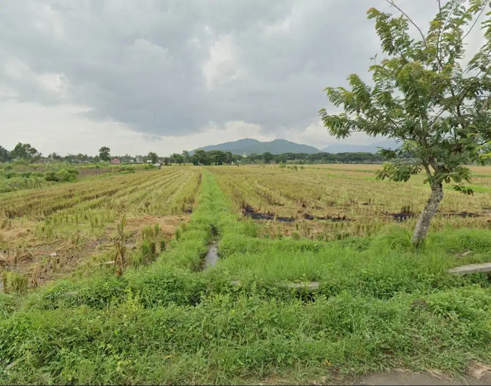 Jual Tanah Hak Milik Sendiri