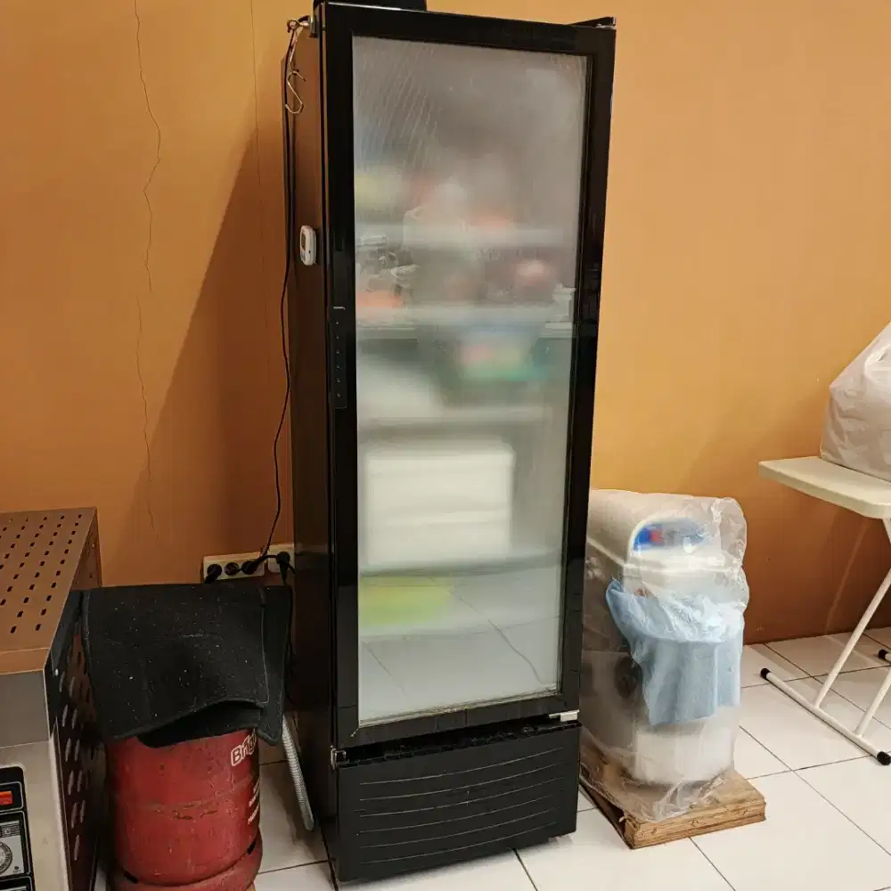 Kulkas Showcase Agate 300R 271 L