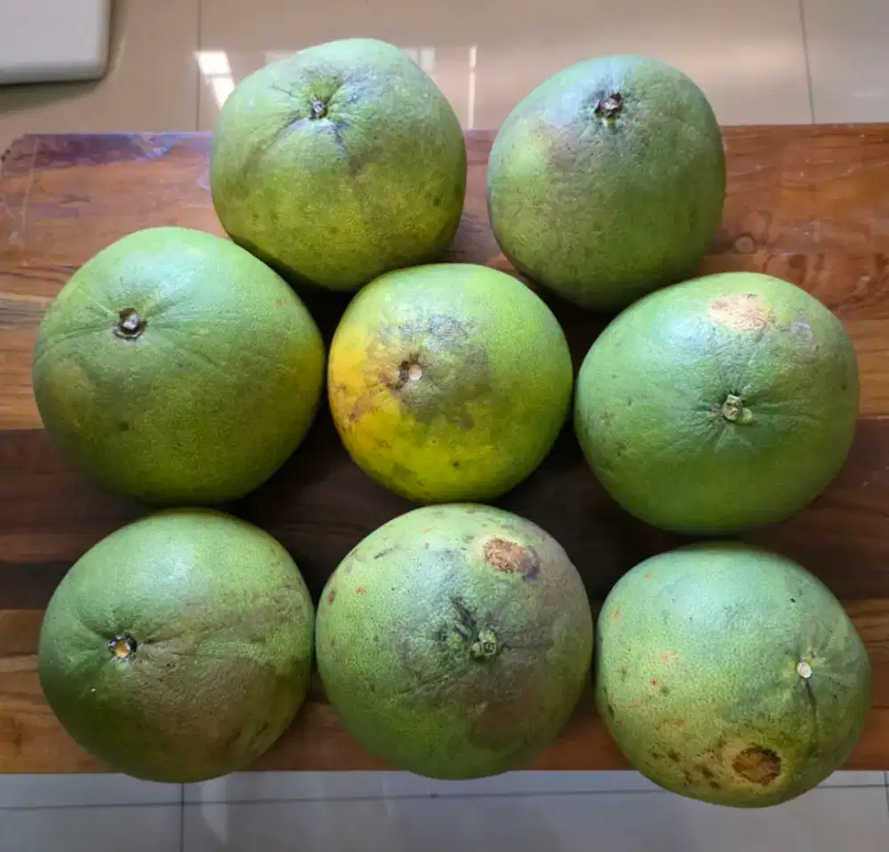 Jeruk Bali Isi Merah