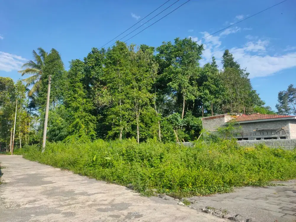 Tanah Jogja Strategis Siap AJB Dekat SMAN 2 Ngaglik