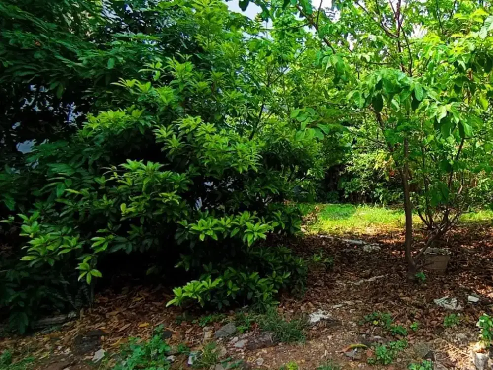 DiJual Tanah Metro Marina Ancol Grace