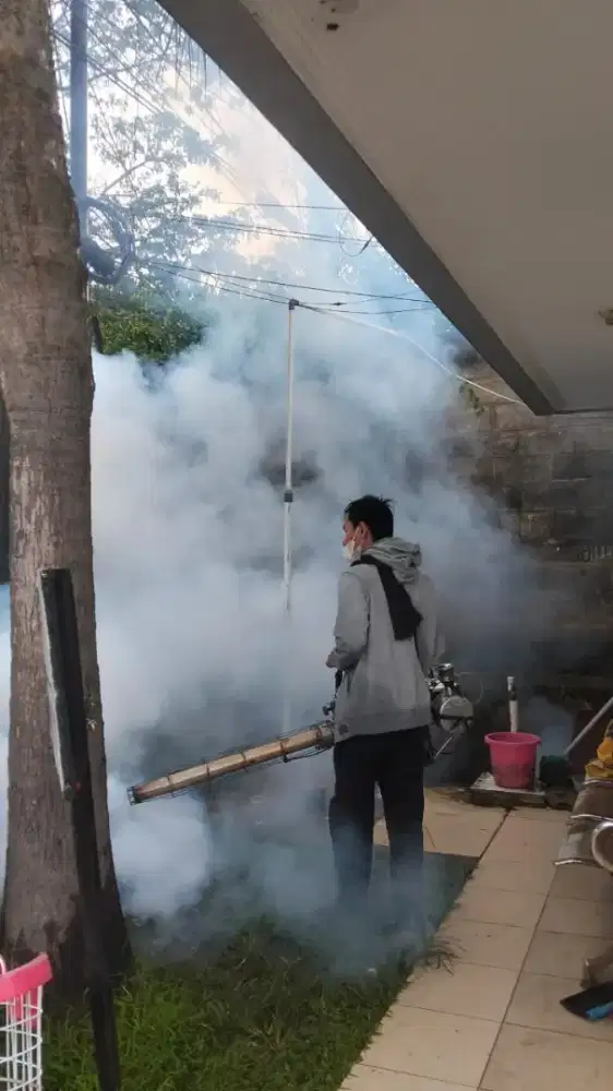 Jasa fogging nyamuk