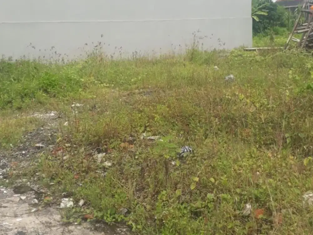 Di Jual Tanah 1 Are - Lokasi Jl. Sedap Malam, Titibatu - Denpasar