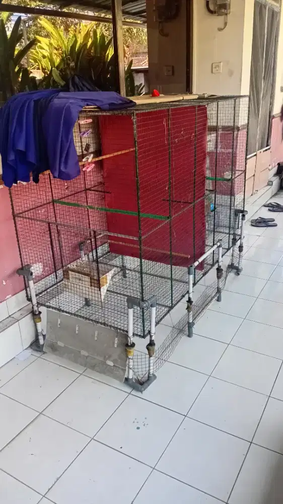 Kandang burung ukr P150 L75 T100 sesuai foto No Kirim 2
