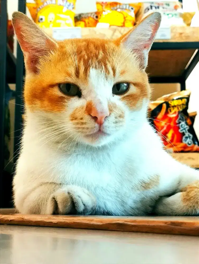 Cari pekerjaan buat wanita