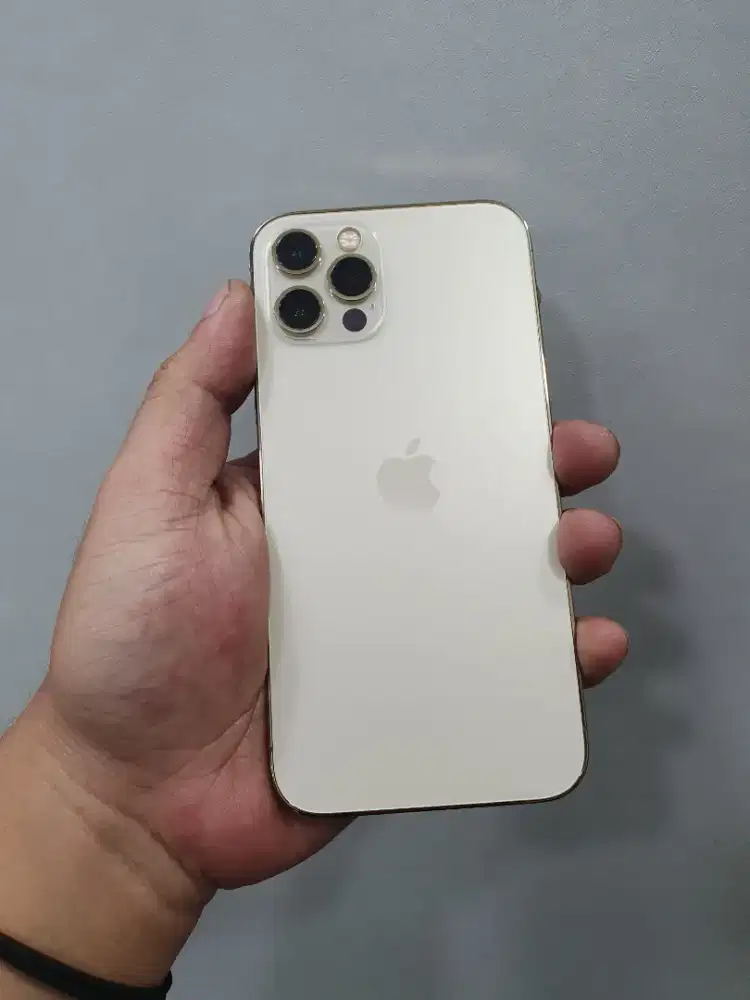 Iphone 12 pro 128gb dual sim sinyal permanen fulset