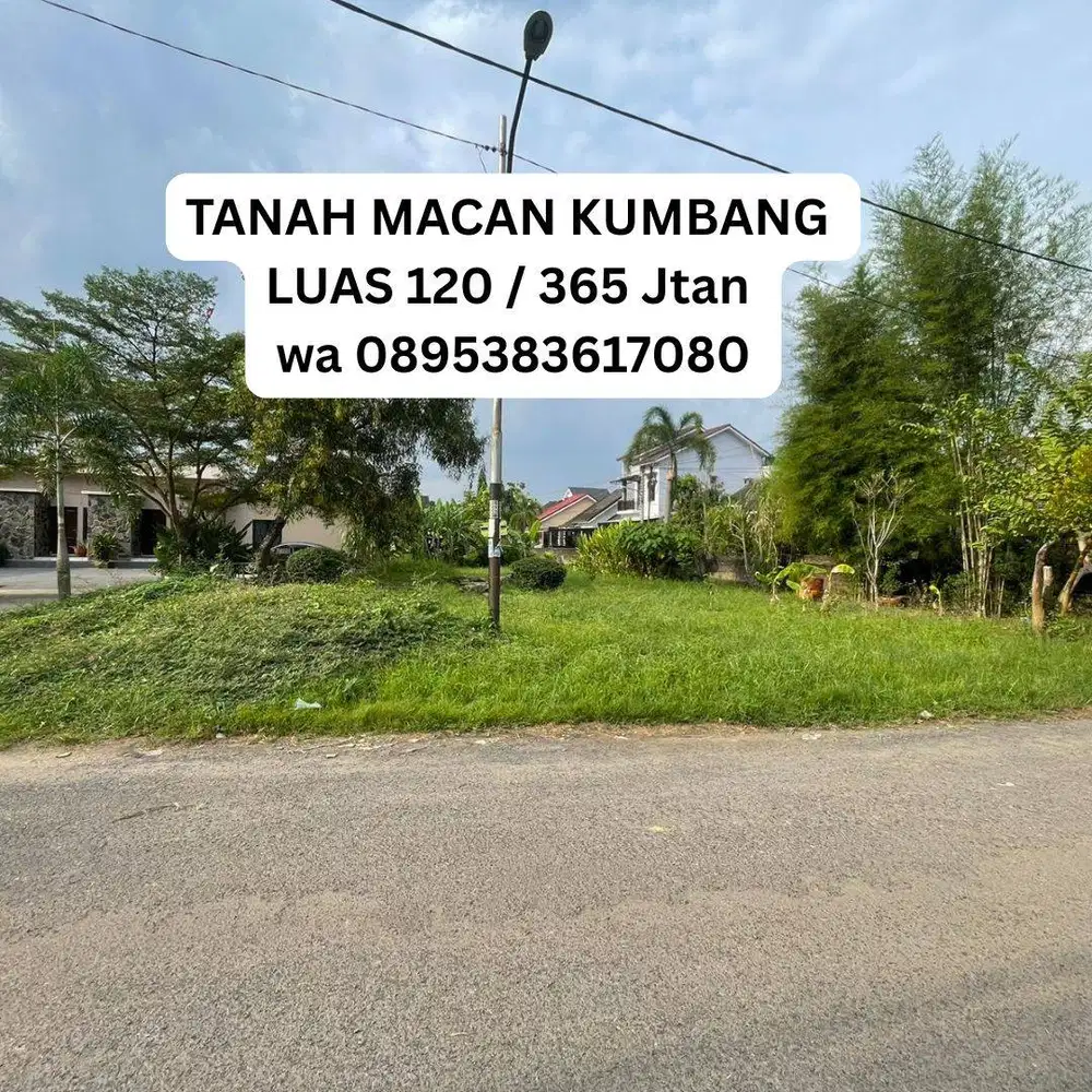TANAH MACAN KUMBANG BERSAMA PALEMBANG